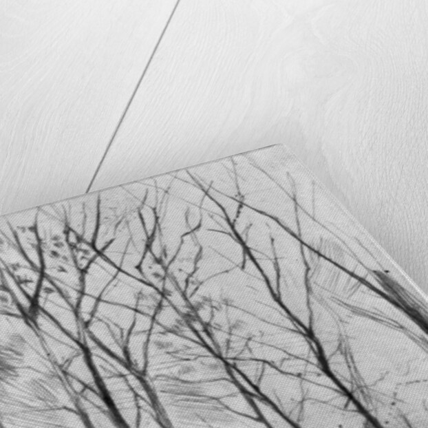 The Dam Wood by James Abbott McNeill Whistler