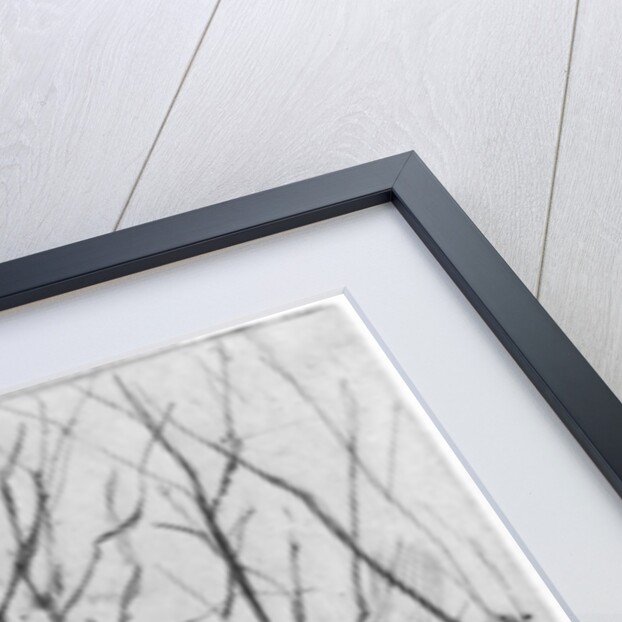 The Dam Wood by James Abbott McNeill Whistler