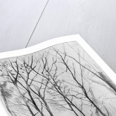 The Dam Wood by James Abbott McNeill Whistler