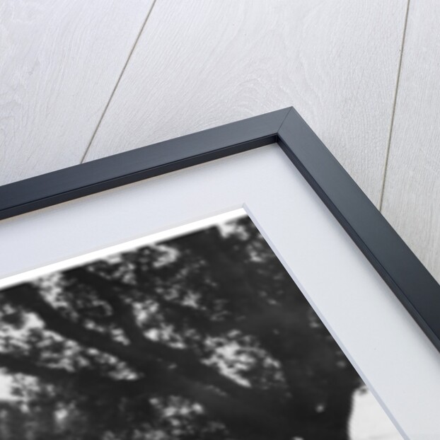 The Palais de la Mediterranee, Nice, France by Munier