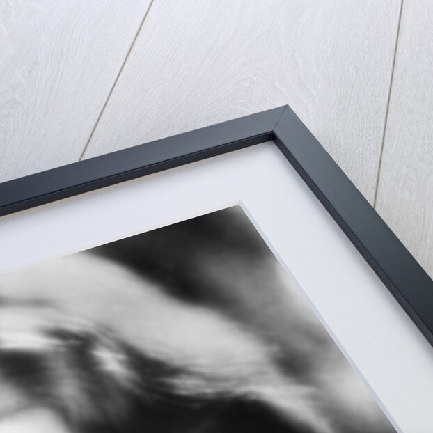 Joan Bennett (1910-1990). American actress by Anonymous