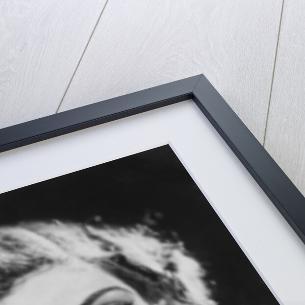 Lilyan Tashman (1896-1934), American actress by Anonymous