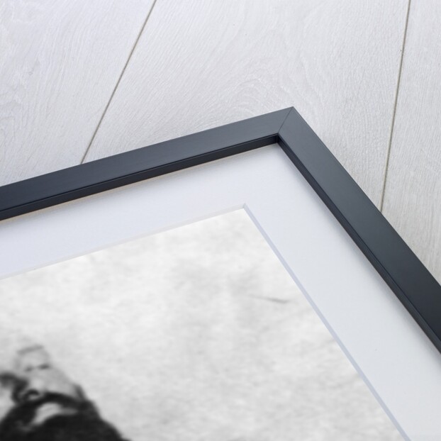 Jesse James in death by Anonymous