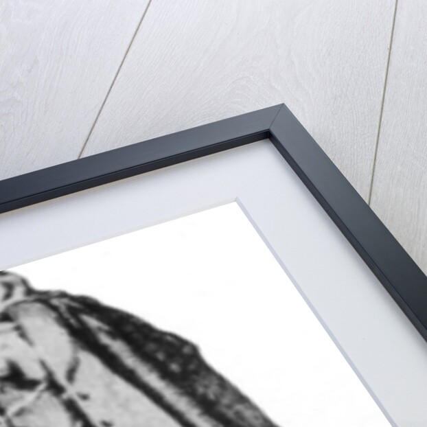 Billy the Kid, American gunman and outlaw by Anonymous