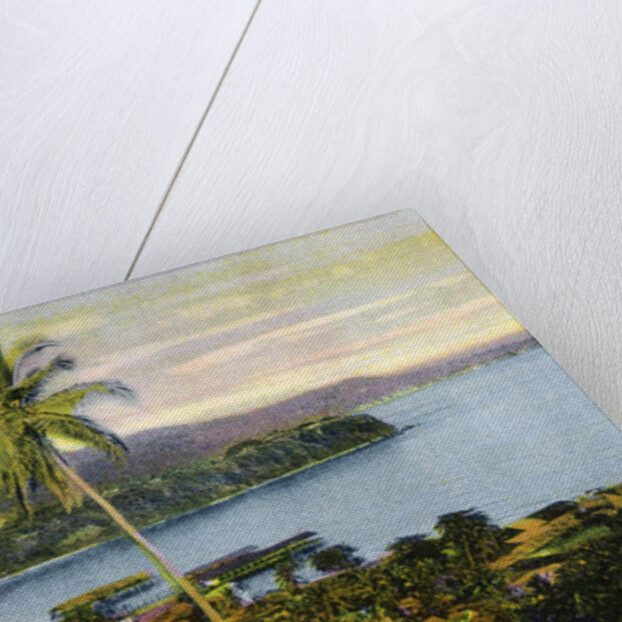 Port Maria, Jamaica by Anonymous