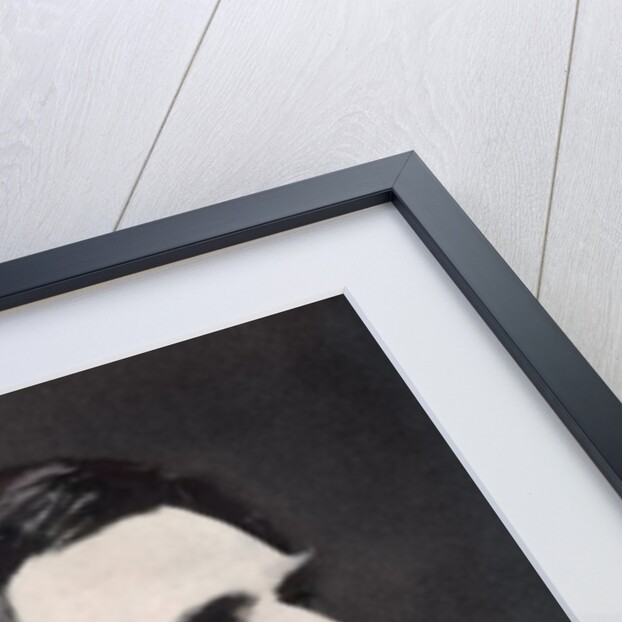 Abraham Lincoln, 16th President of the United States by Anonymous