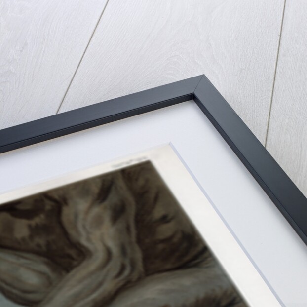 He Thinks in Marble, Jehu Junior by jmp