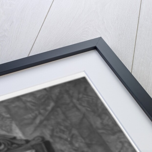 Cats playing with a chessboard by Goupil and Co