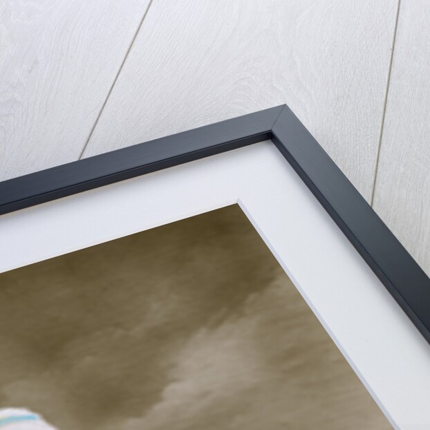 Joyeux Noel by Anonymous