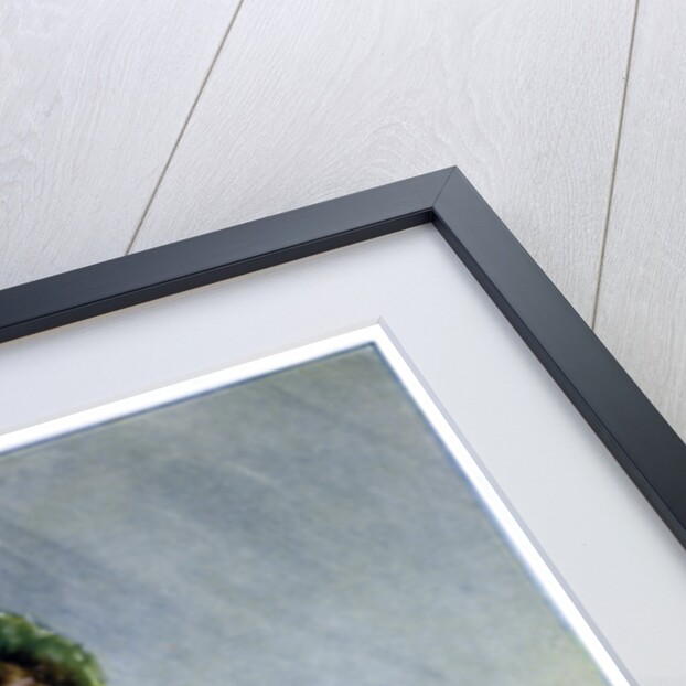 A Summer Shower by Anonymous