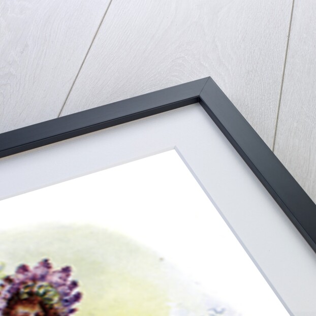 The Lilac by Anonymous