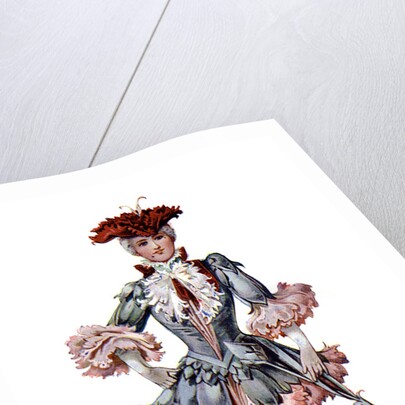 The Carnation by Anonymous
