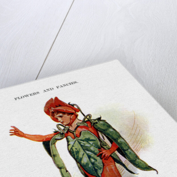 The Scarlet Runner by Anonymous