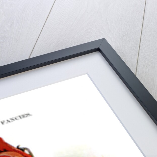 The Scarlet Runner by Anonymous