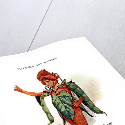 The Scarlet Runner by Anonymous