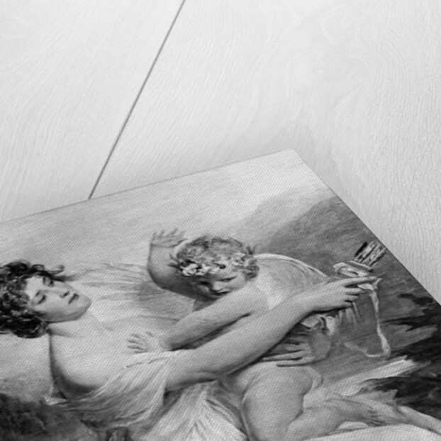 Captive Cupid by Anonymous