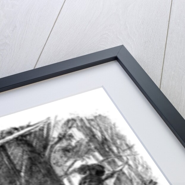 A Teuton maiden pursued by Romans by Karl Theodor von Piloty