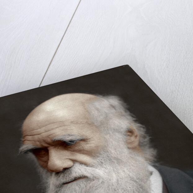 Charles Darwin, British naturalist by Anonymous