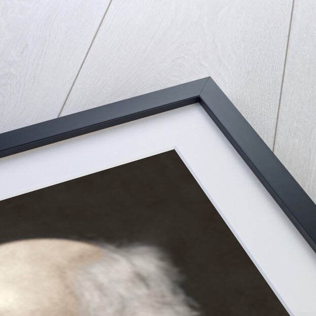 Charles Darwin, British naturalist by Anonymous