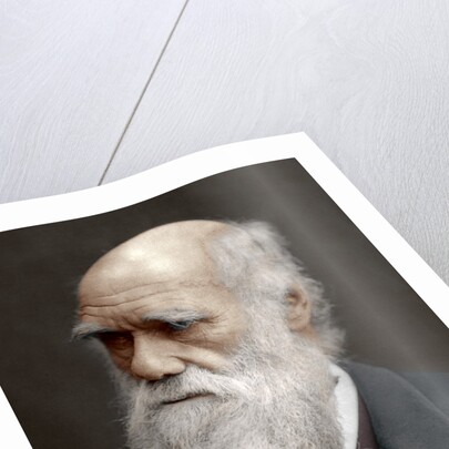 Charles Darwin, British naturalist by Anonymous