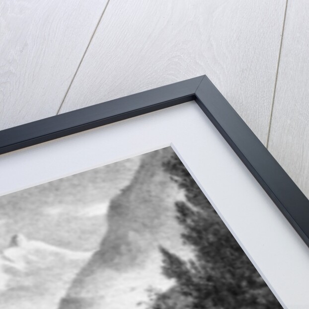 The Dent du Midi from the Valley of the Rhone by Anonymous