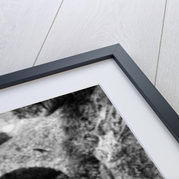 At St Gingolph, Savoie by Anonymous