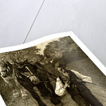 The Plough Boy by Anonymous