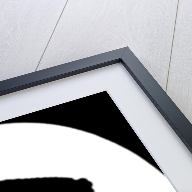 Marie Antoinette, Queen Consort of Louis XVI of France by Anonymous