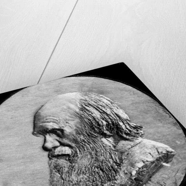 Charles Darwin by Anonymous