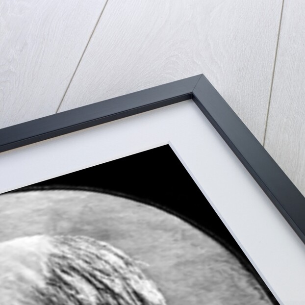 Charles Darwin by Anonymous