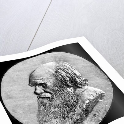 Charles Darwin by Anonymous