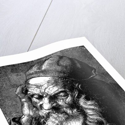 Study of an Old Man by Anonymous