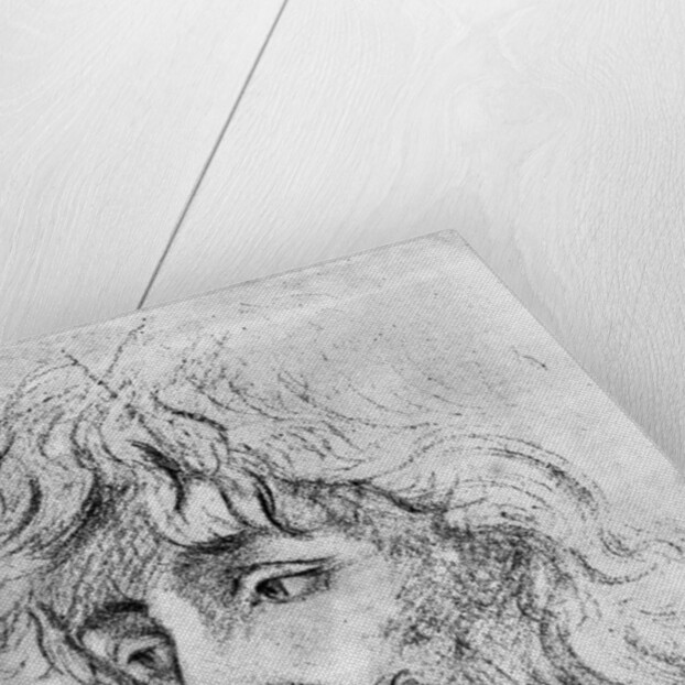 Study of a Head by Anonymous
