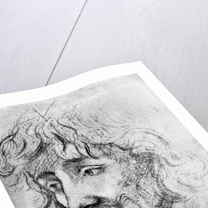 Study of a Head by Anonymous