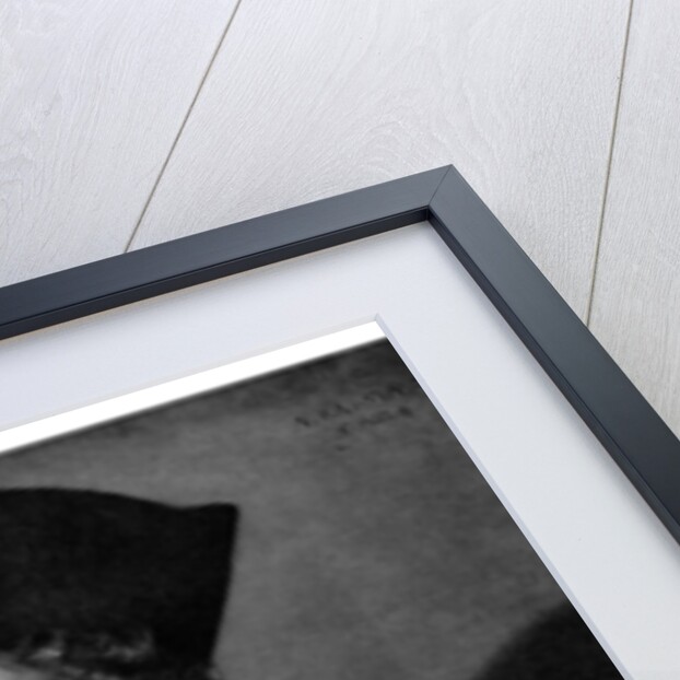 The Laughing Cavalier by Anonymous