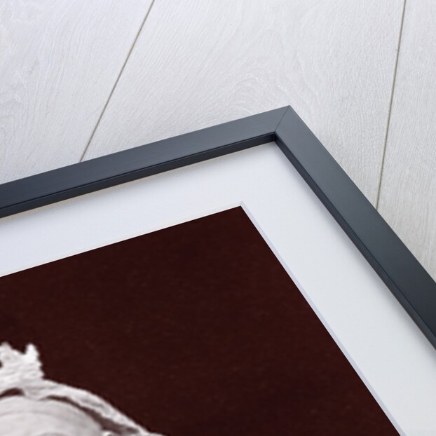 Her Late Majesty Queen Victoria by Anonymous