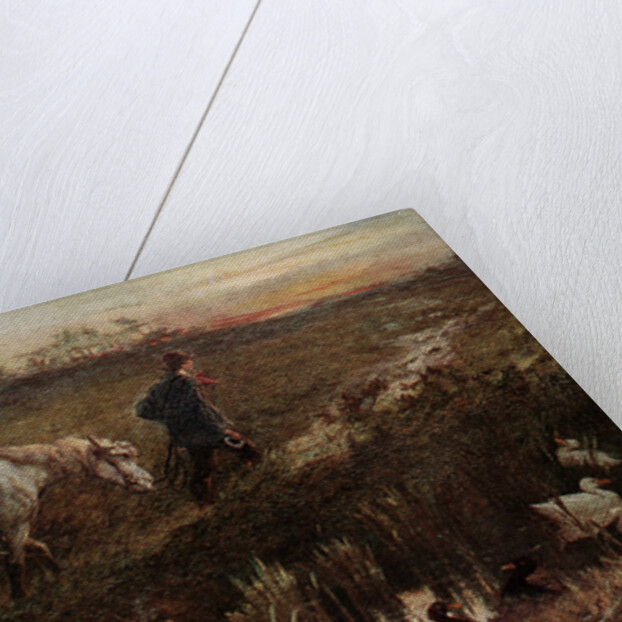 The Cast Shoe by Anonymous