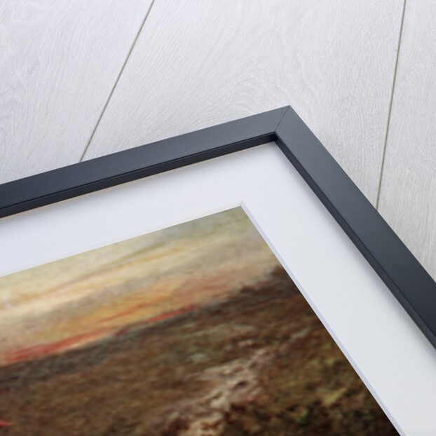 The Cast Shoe by Anonymous