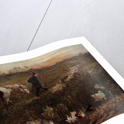 The Cast Shoe by Anonymous