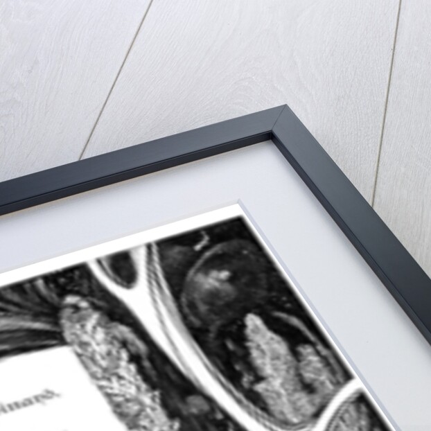 Ariel's song to Ferdinand by Anonymous