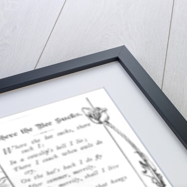 Where the Bee Sucks by Anonymous