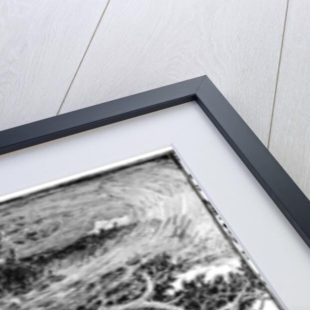 Blow, Blow, Thou Winter Wind by Anonymous