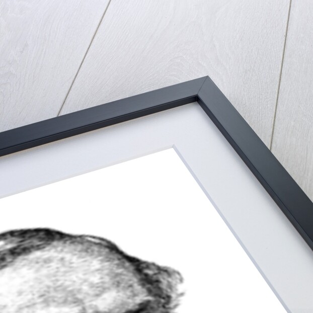 Sir John Tenniel, British artist and cartoonist by Anonymous