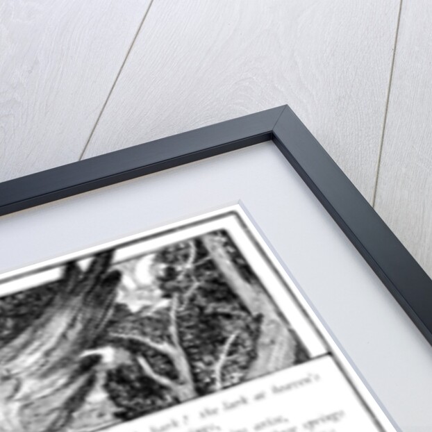 Hark! The Lark by Anonymous