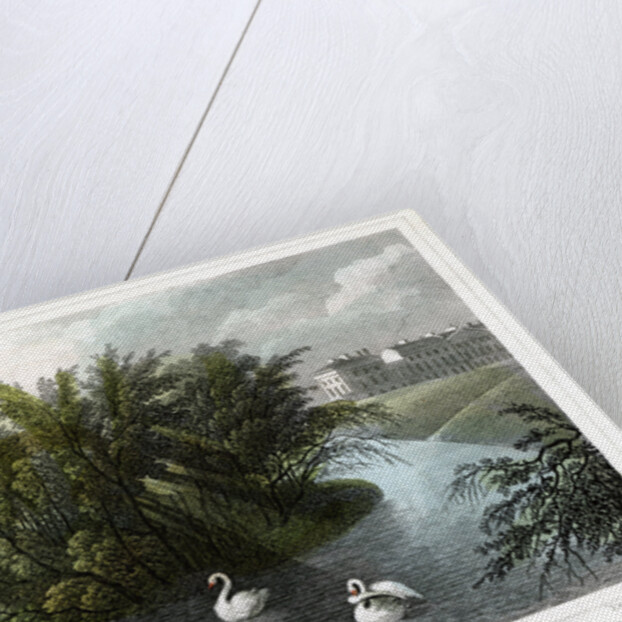 Island on the lake and Part of Cornwall and Clarence Terraces, Regent's Park, London by William Tombleson