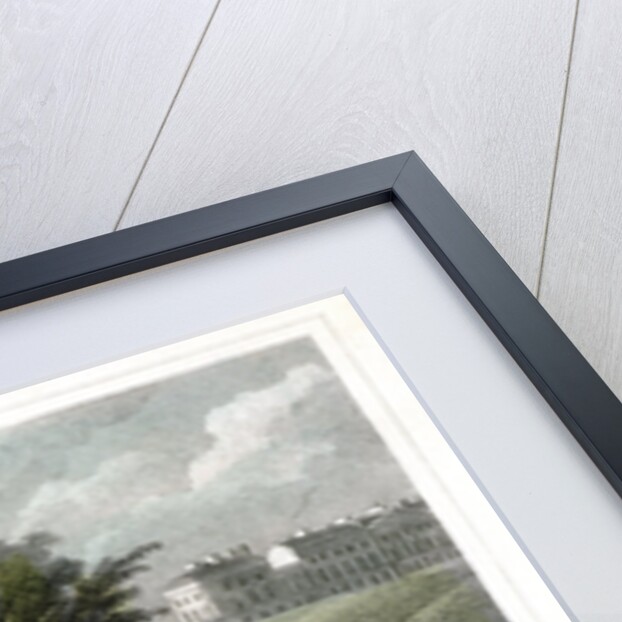 Island on the lake and Part of Cornwall and Clarence Terraces, Regent's Park, London by William Tombleson