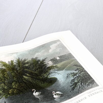 Island on the lake and Part of Cornwall and Clarence Terraces, Regent's Park, London by William Tombleson