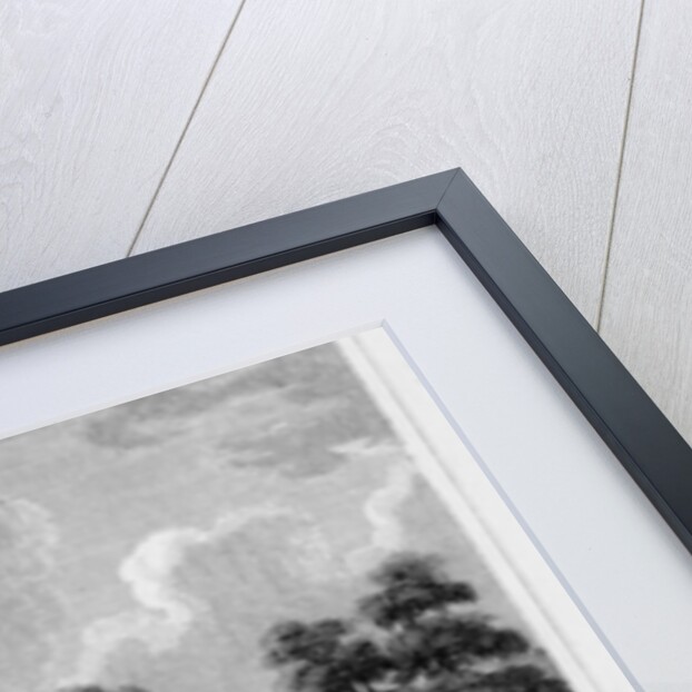 Chinese Bridge, St James's Park, Westminster, London by W Wallis