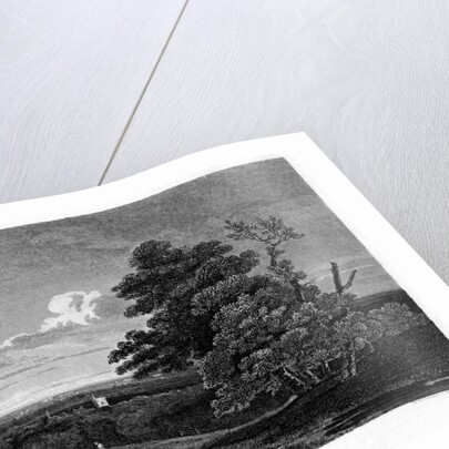 Hornsey, London by J Greig