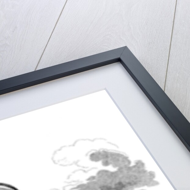 Equestrian cartoon by Anonymous